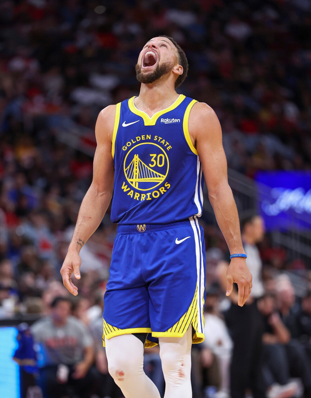 桥牌运动的 桥牌运动的