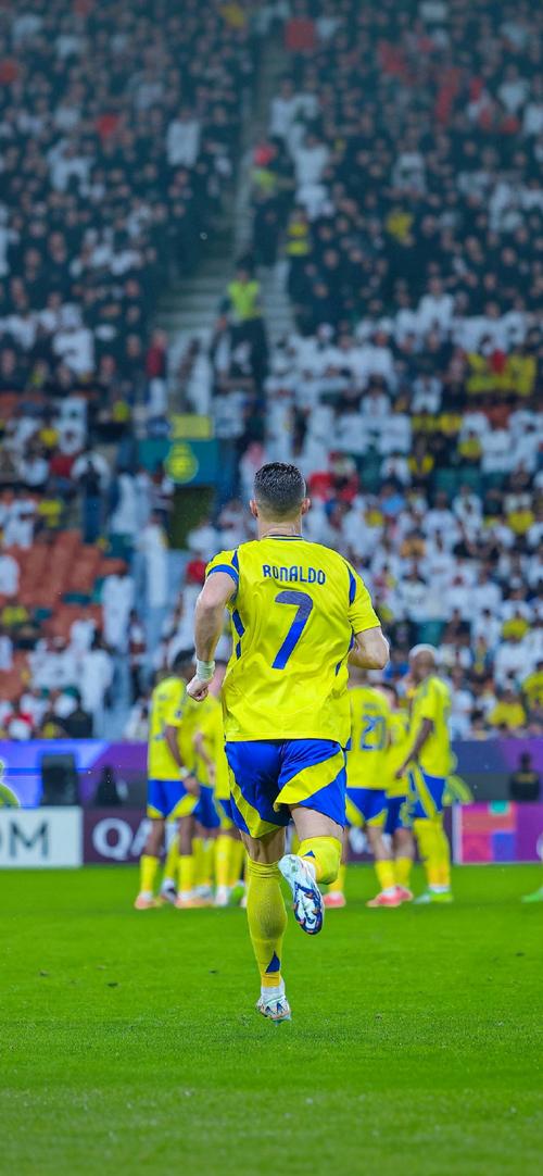 口碑回忆形 口碑回忆形